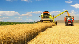 Минсельхоз резко занизил оценку урожая зерна в России в 2024 году